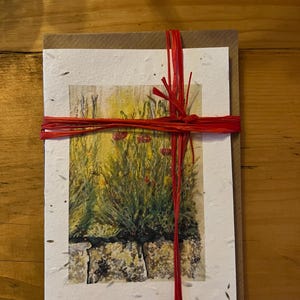 WILDFLOWER SEEDED PAPER Bigliettini di papaveri - Set di cinque bigliettini abbinati con buste