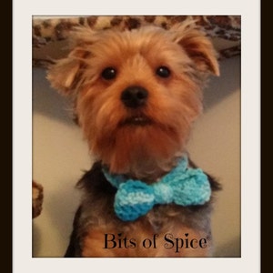 May include: A Yorkshire Terrier dog with brown and black fur, wearing a light blue crocheted bow tie. The image has a white border with the text "Bits of Spice" at the bottom.