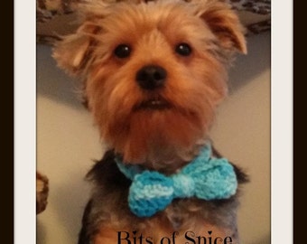 Bowtie Puppy, Crochet Pattern, PDF, Digital, Download, Dog Cat Bowtie Pattern, Pet, Small pet pattern