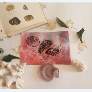May include: A pink and blue watercolour background with black ink illustrations of seashells. The artwork is surrounded by seashells, leaves, and a book.