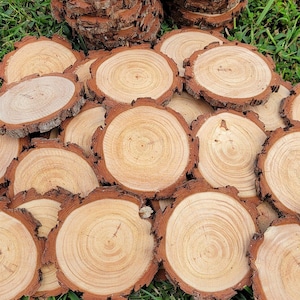 Rustic Pine Tree Slice Coasters: DIY Ornaments, Wedding Table Decor - Set of 20