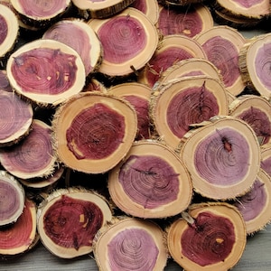 50 Aromatic Red Cedar Wood Slices: 1-2&quot; DIY Craft Rounds