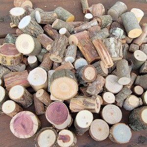 Miniature Live Edge Wood Stumps, Small Craft Logs, Fairy Garden, Miniature Garden, Dollhouse, Landscape, Terrarium Decor