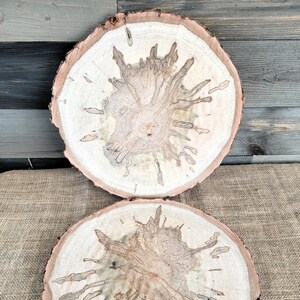 Set of 2 Spalted Maple Slabs, 12 13 Wood Rounds, Rustic Wedding Centerpieces, Plate Chargers, Wood Cookies, Table Decor, Tree Slices image 10