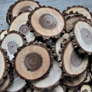Rodajas de madera de nogal negro, tamaños y cantidades variadas, de 1" a 4", madera para manualidades, posavasos, adornos.
