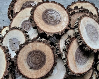 Black Walnut Wood Slices, Assorted Sizes and Quantity, 1" - 4", Craft Wood, Coasters, Ornaments