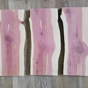 Set of 3 Red Cedar Slabs, Planed and Sanded Live Edge Boards, Shelves