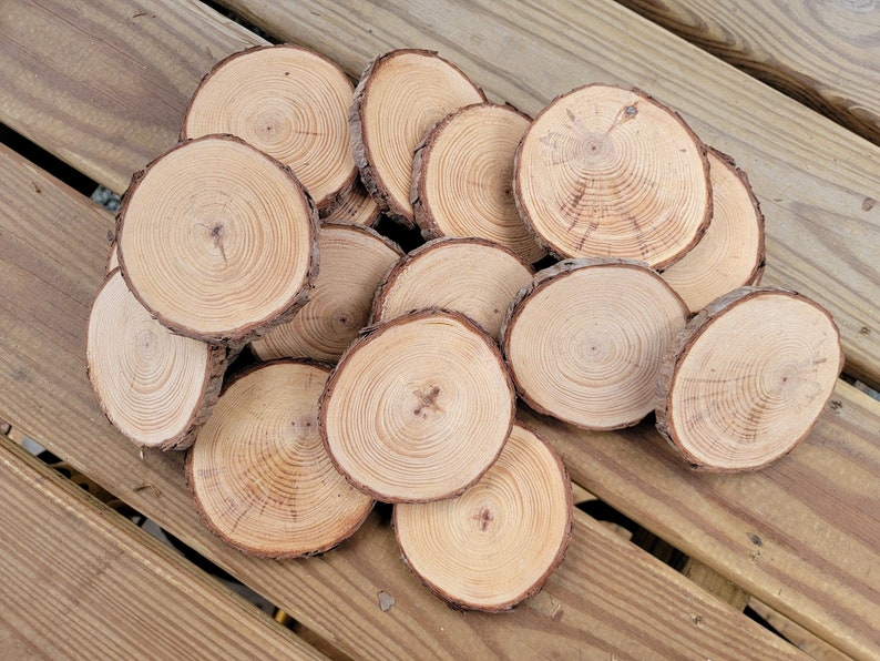 20 Pine Tree Slices, Rustic Wedding Decor, Table Decorations, DIY Ornaments, Live Edge Wood Coasters image 1