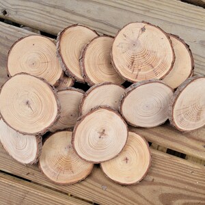 20 Pine Tree Slices, Rustic Wedding Decor, Table Decorations, DIY Ornaments, Live Edge Wood Coasters image 2