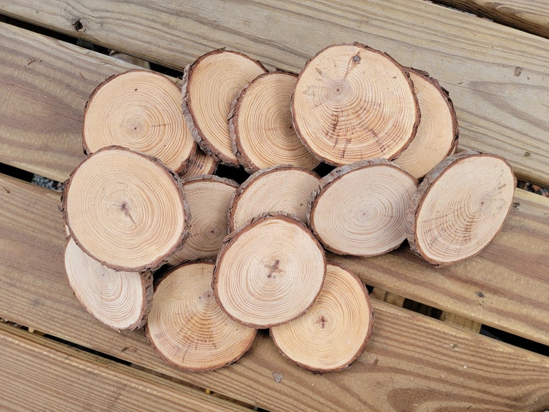 20 Pine Tree Slices, Rustic Wedding Decor, Table Decorations, DIY Ornaments, Live Edge Wood Coasters image 2