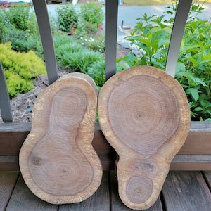 13&quot; Black Walnut Wood Slices, Set of 2 Figured End Grain Slabs, Cookies, Rustic Wedding Centerpieces, Wood Rounds, Farmhouse Decor