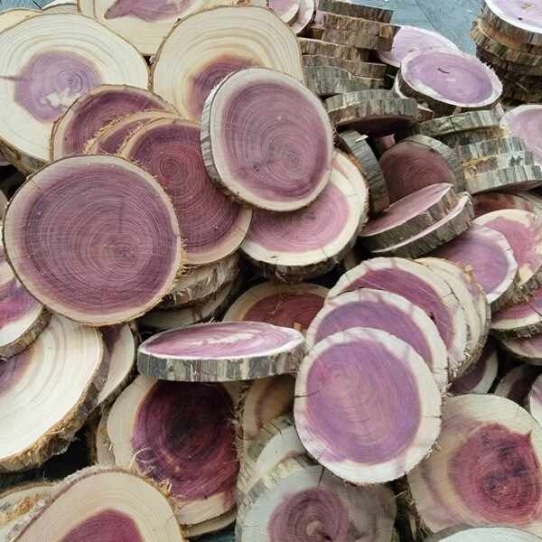 Bulk Wood Slices Etsy
