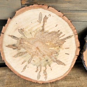 Set of 2 Spalted Maple Slabs, 12 13 Wood Rounds, Rustic Wedding Centerpieces, Plate Chargers, Wood Cookies, Table Decor, Tree Slices image 4