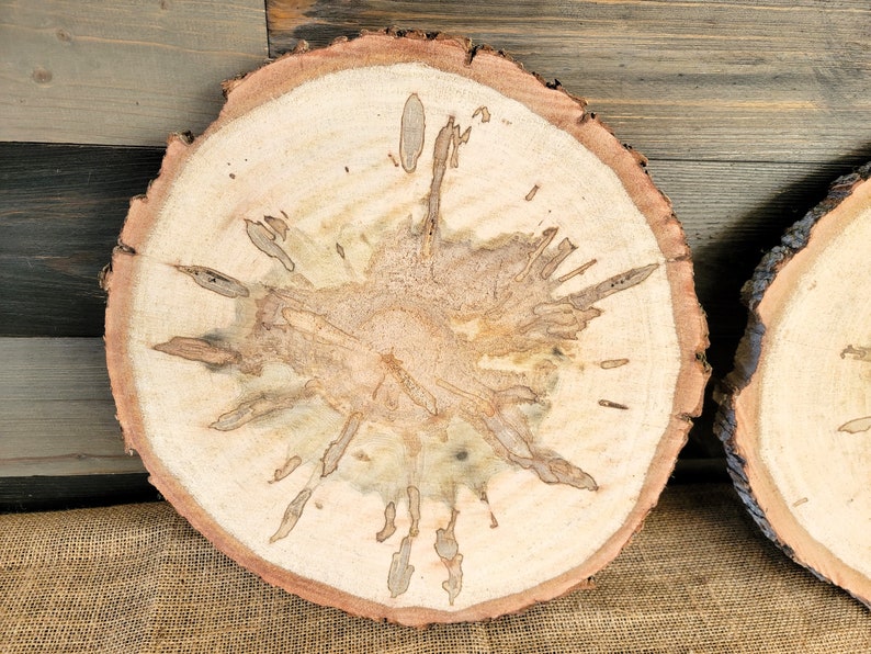 Set of 2 Spalted Maple Slabs, 12 13 Wood Rounds, Rustic Wedding Centerpieces, Plate Chargers, Wood Cookies, Table Decor, Tree Slices image 4