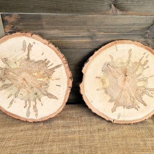 Set of 2 Spalted Maple Slabs, 12 13 Wood Rounds, Rustic Wedding Centerpieces, Plate Chargers, Wood Cookies, Table Decor, Tree Slices image 3