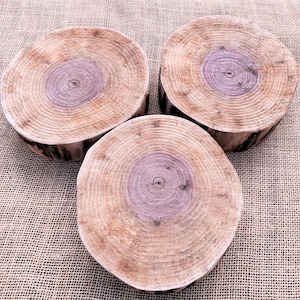 Rustic Black Walnut Centerpieces, Set of 3 Pedestals, Log Slices, Wedding Table Decor