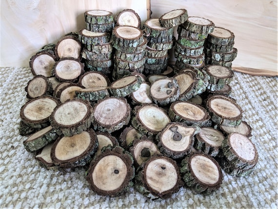 Black Walnut Wood Slices, Assorted Sizes and Quantity, 1