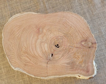 21" RARE Chinaberry Wood Slab, Unfinished Persian Lilac Wood Round, Centerpiece, Crosscut Wood Cookie