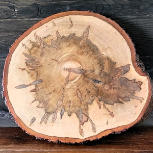 May include: A round, natural wood slice with a light brown center and a dark brown outer edge. The wood grain is visible, with unique patterns and dark brown markings throughout. The bark edge is visible on the right side.