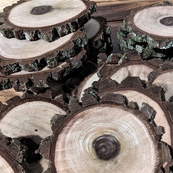 Black Walnut Wood Slices, Assorted Sizes and Quantity, 1" - 4", Craft Wood, Coasters, Ornaments