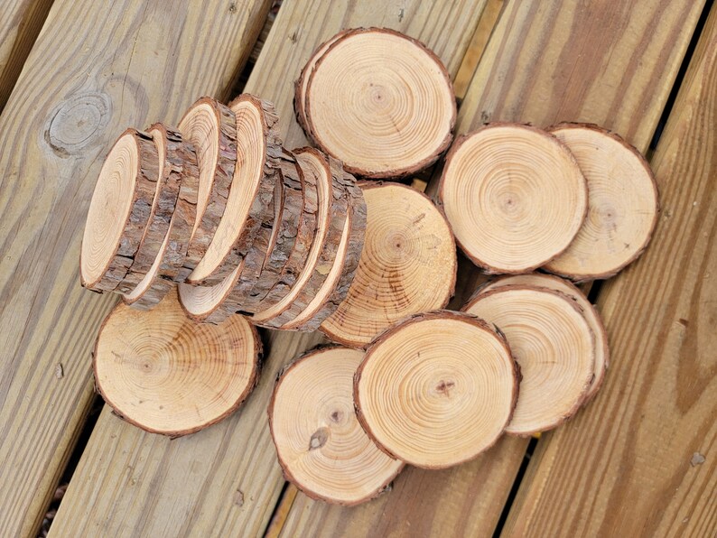 20 Pine Tree Slices, Rustic Wedding Decor, Table Decorations, DIY Ornaments, Live Edge Wood Coasters image 5