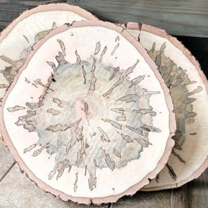 Set of 2 Spalted Maple Slabs, 12 13 Wood Rounds, Rustic Wedding Centerpieces, Plate Chargers, Wood Cookies, Table Decor, Tree Slices image 9