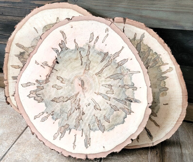 Set of 2 Spalted Maple Slabs, 12 13 Wood Rounds, Rustic Wedding Centerpieces, Plate Chargers, Wood Cookies, Table Decor, Tree Slices image 9