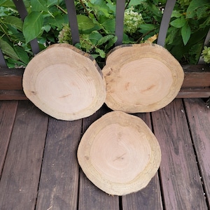 Oak Wood Slices - Set of 3 - Rustic Farmhouse Decor, Log Slices, Live Edge Cookies