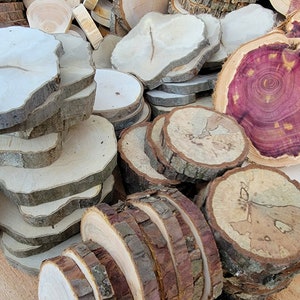 Assorted Tree Slices, 3" - 5" Black Walnut, Red Cedar, Oak, Cypress, Pine, Poplar, Sassafras, Black Cherry, Maple