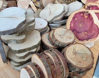 Assorted Tree Slices, 3" - 5" Black Walnut, Red Cedar, Oak, Cypress, Pine, Poplar, Sassafras, Black Cherry, Maple