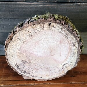 Spalted Oak Log Slice: 9-10&quot; Rustic Wedding Cake Stand