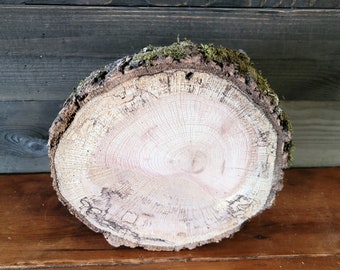 Spalted Oak Log Slice: 9-10" Rustic Wedding Cake Stand