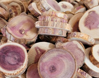 500 Red Cedar Wood Slices - 1" - 1 1/2" DIY Craft Wood, Vase Filler, Tree Slices