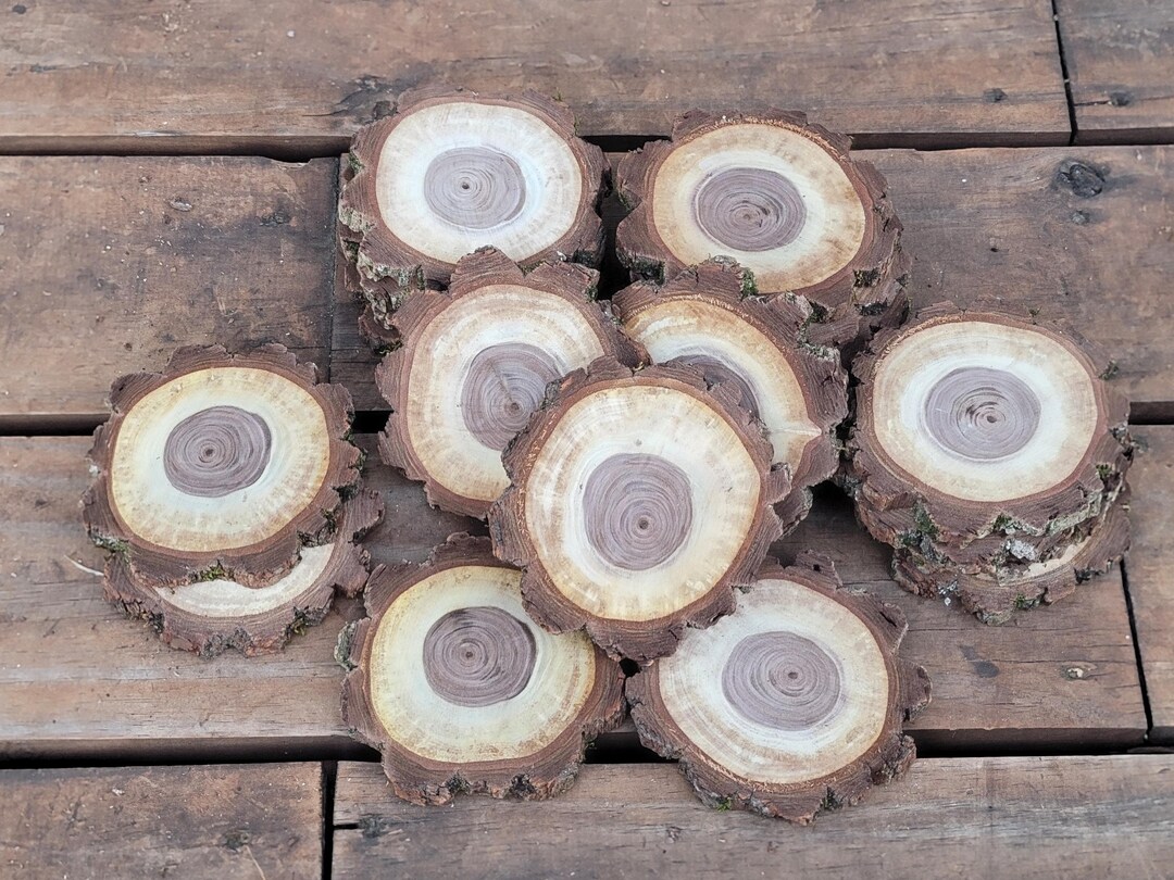Wood Slices Black Walnut Log Slices, 4.5