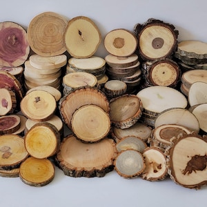 50 Assorted Species Wood Craft Slices 1.5"-2"
