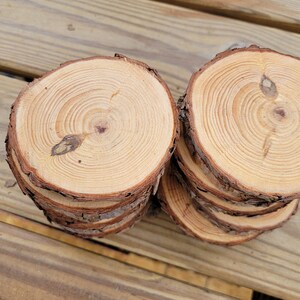 20 Pine Tree Slices, Rustic Wedding Decor, Table Decorations, DIY Ornaments, Live Edge Wood Coasters image 9