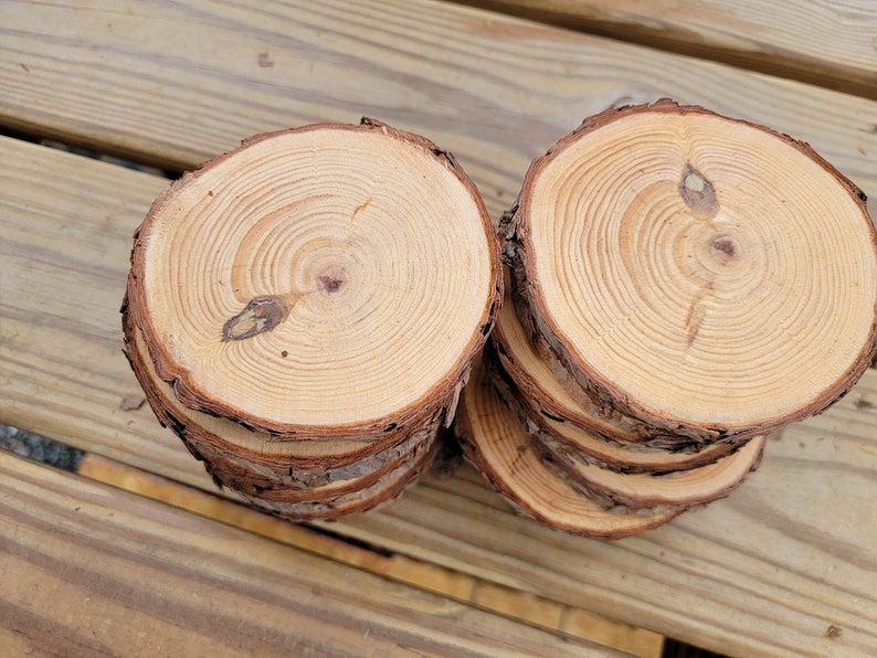 20 Pine Tree Slices, Rustic Wedding Decor, Table Decorations, DIY Ornaments, Live Edge Wood Coasters image 9