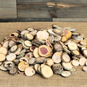 Small Wood Slices: Assorted Species, Rustic Wedding Table Decor (100 Pieces, .75-1.25")