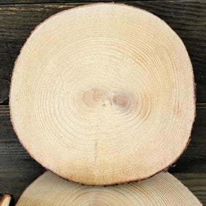 Set of 6 Pine Wood Slices, 7&quot; -  8&quot; x 1&quot; Thick Rustic Wedding Centerpieces, Table Decor, Holiday or Farmhouse Decor