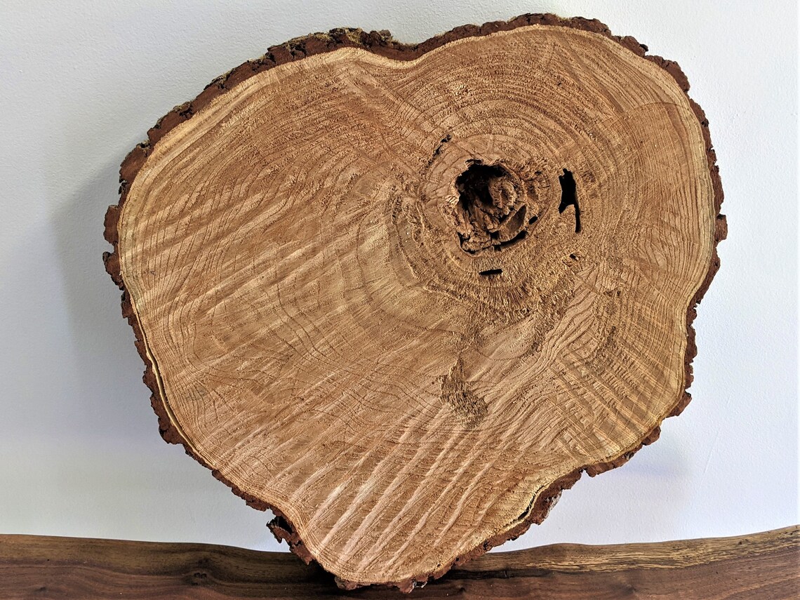 Live Edge End Grain Chinaberry Wood Slab - Etsy