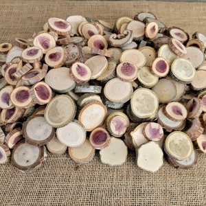 100 Extra Small Wood Slices, .75" - 1.25" Assorted Species, Vase Filler, Rustic Wood Crafts, Log Slices, Tree Slices, Wedding Table Decor