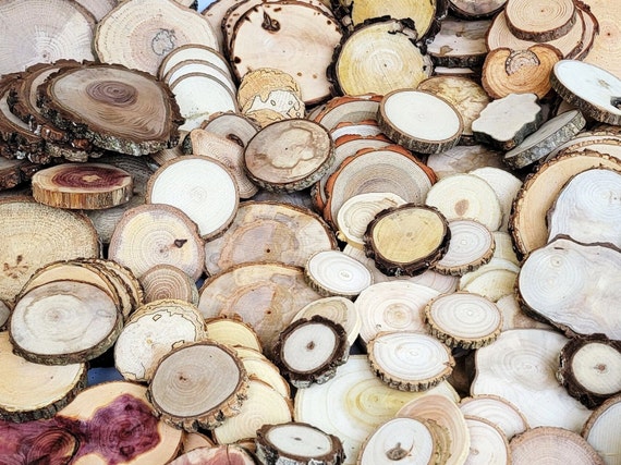DIY Wood Slice Coasters Made From A Pine Log - Rustic Crafts & DIY