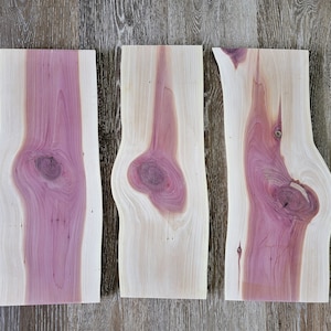 Red Cedar Sign Blanks: Live Edge Aromatic Boards, DIY Shelves (Set of 3)