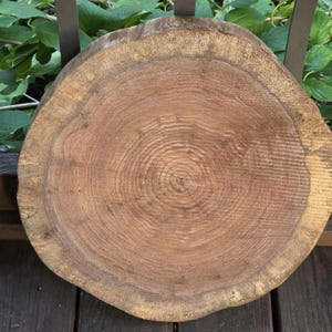 May include: A circular wooden slab featuring a natural cross-section of a tree trunk. The surface displays visible concentric growth rings in shades of light and dark brown, with a textured, rough bark edge surrounding the entire perimeter.