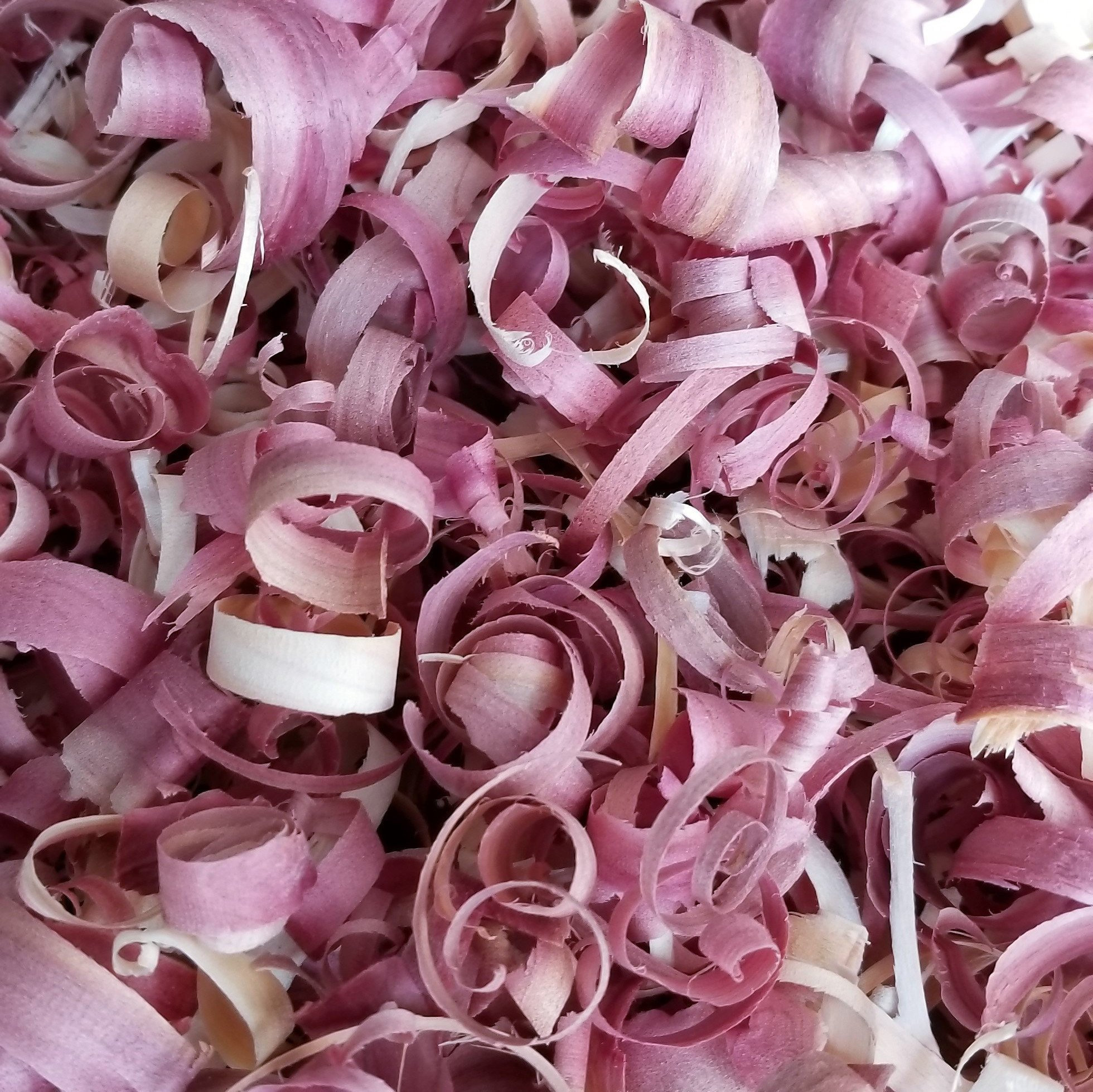 1 Gallon Natural Organic Eastern Aromatic Red Cedar Shavings Etsy