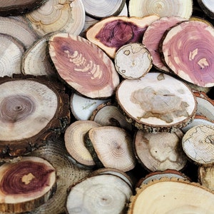 Wood Slice Variety Pack 1&quot; - 3 1/2&quot; Assorted Species, DIY Crafts, Ornaments, Rustic Country Wedding Table Decor, Coasters, Pyrography