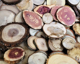 May include: A collection of various wood slices, showcasing natural wood grain patterns and colors. The slices vary in size and shape, with visible growth rings and bark edges. The color palette includes light browns, reddish hues, and darker brown tones, creating a rustic aesthetic.