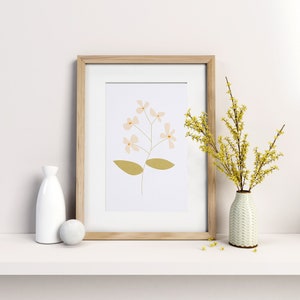 Jasmine Flower A4 Art Print Floral Art Print Botanical Art Print image 1