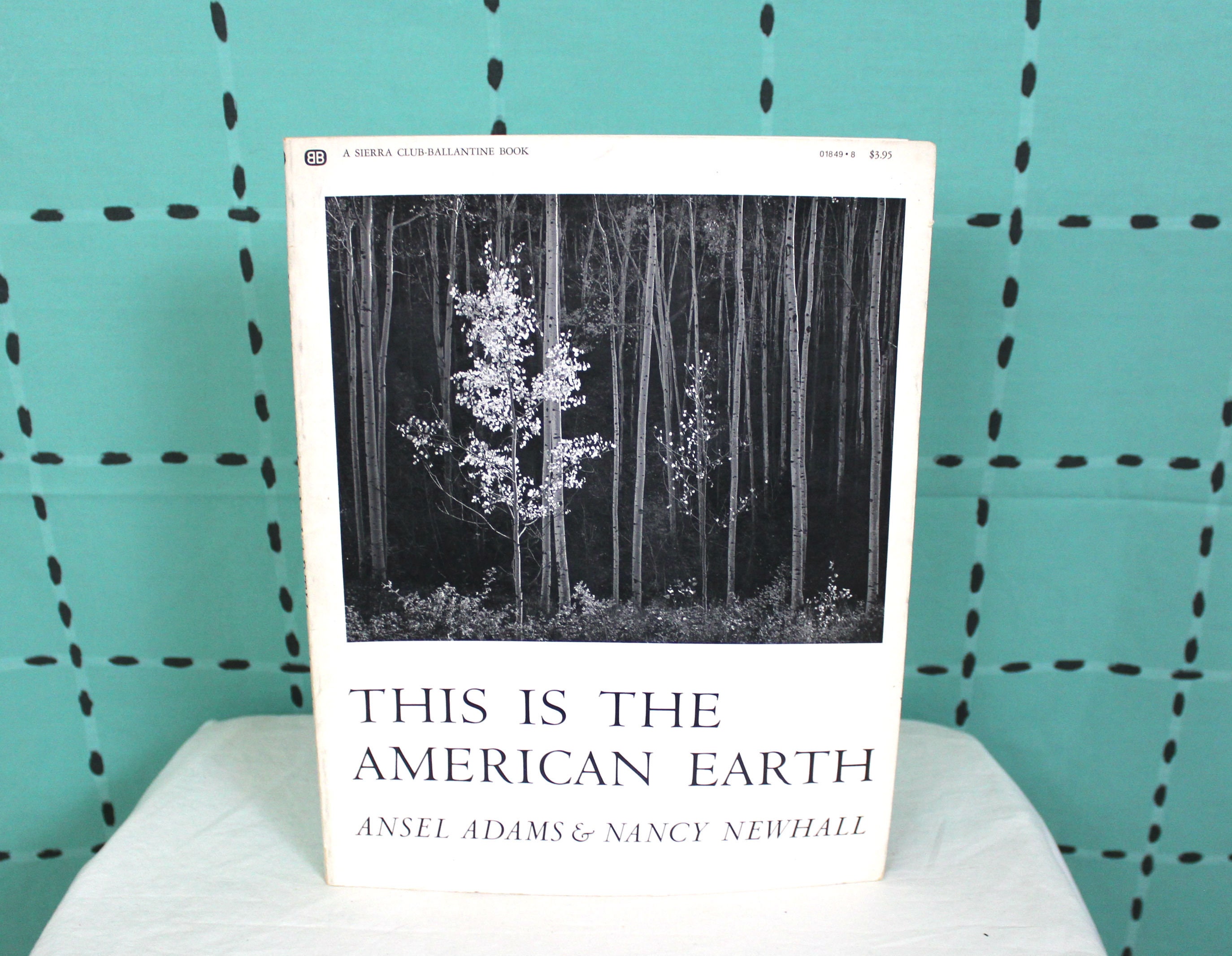 Ansel adams early career image