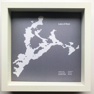 Lake Of Bays Push Pin Map